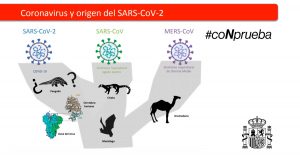 Origen y transmision coronavirus mundo